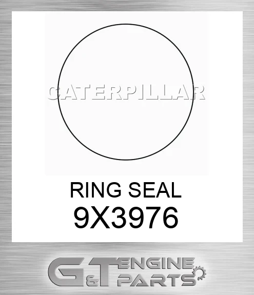9X3976 RING SEAL