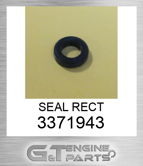3371943 SEAL RECT