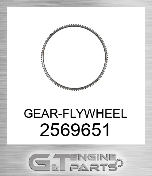 2569651 GEAR-FLYWHEEL