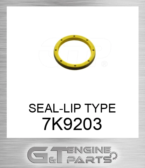 7K9203 SEAL-LIP TYPE