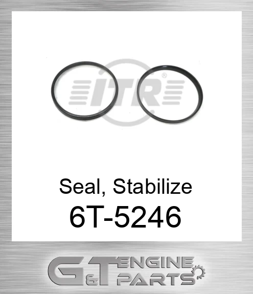 6T-5246 Seal