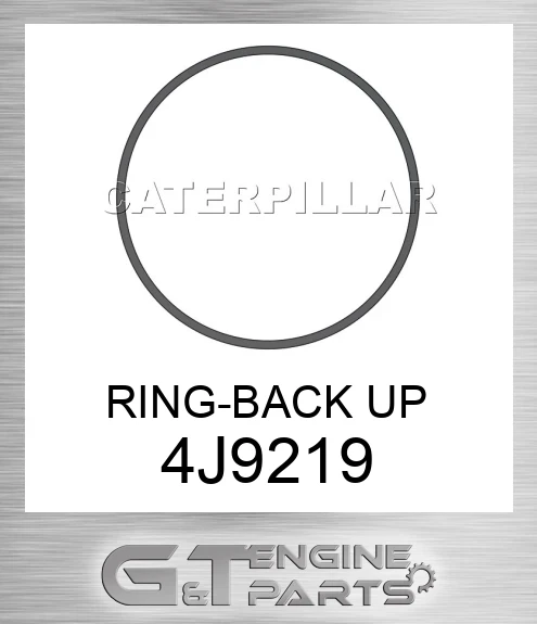 4J9219 RING-BACK UP