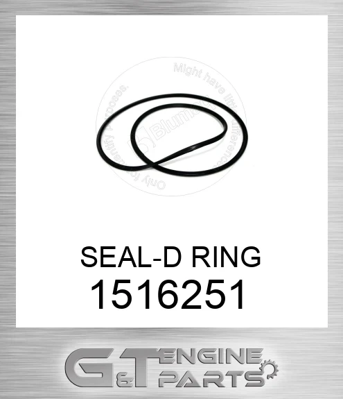 1516251 SEAL-D RING