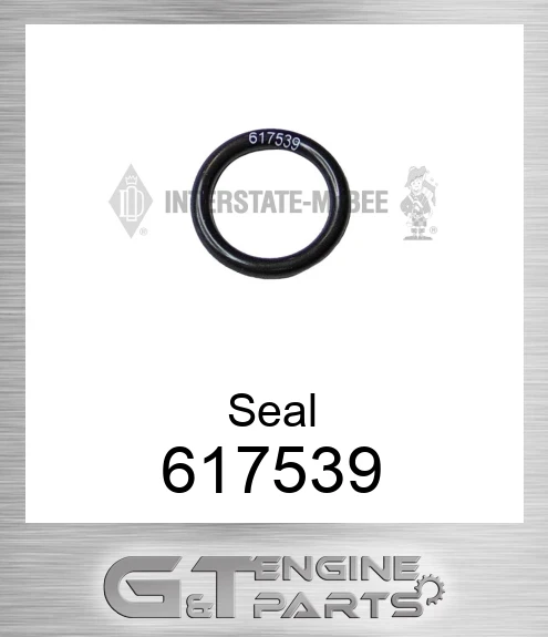 617539 Seal