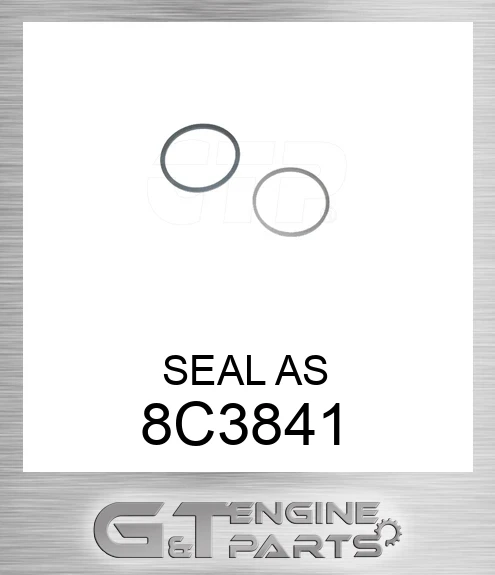 8C3841 SEAL AS