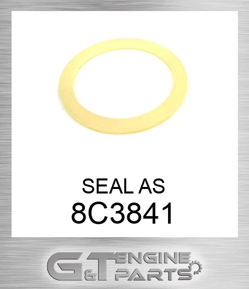 8C3841 SEAL AS