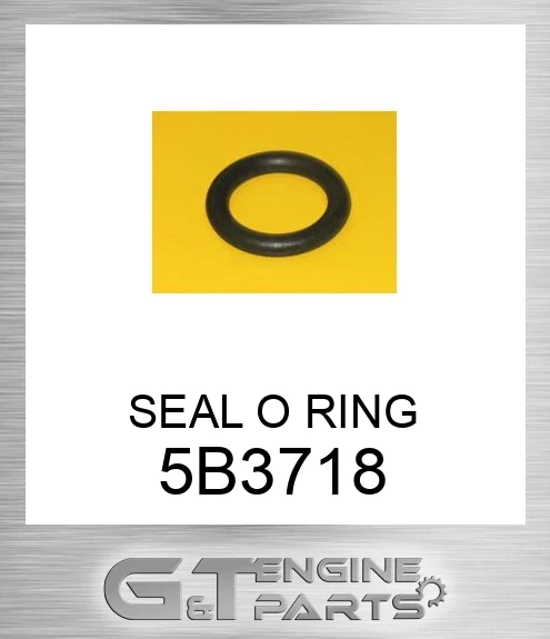 5B3718 SEAL O RING