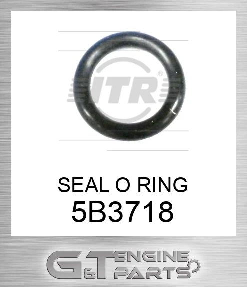 5B3718 SEAL O RING