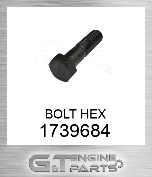 1739684 BOLT HEX