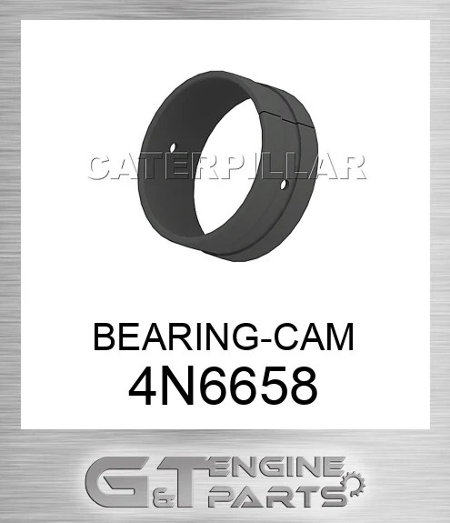 4N6658 BEARING-CAM
