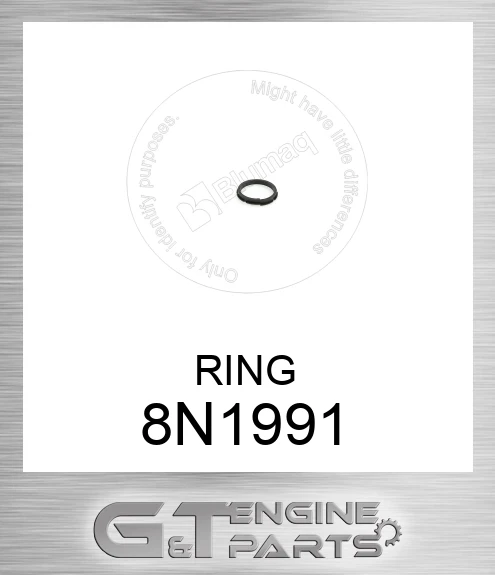 8N1991 RING