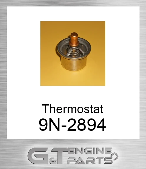 9N-2894 Thermostat