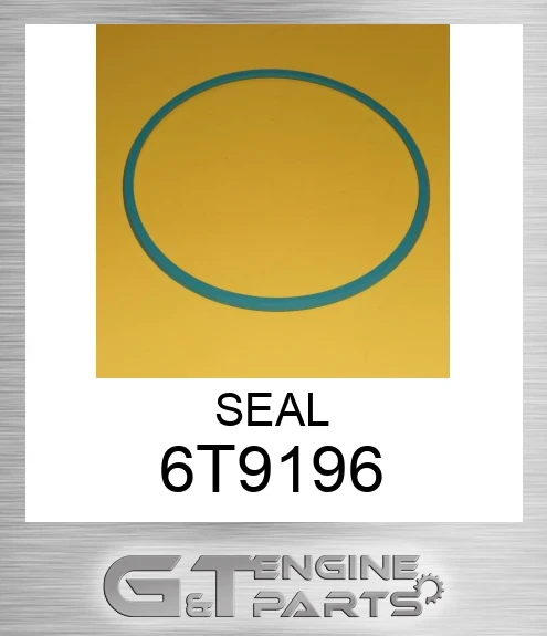 6T9196 SEAL