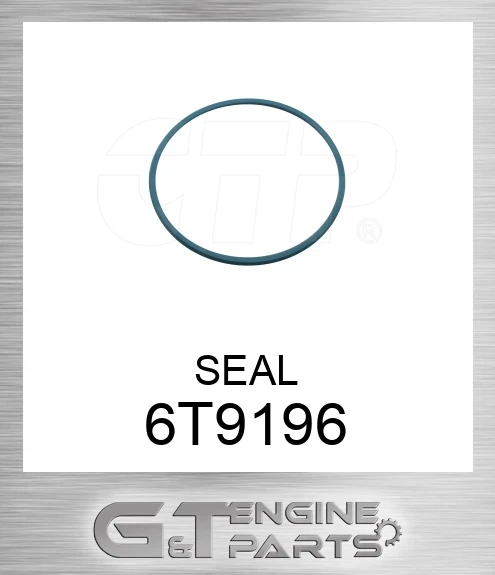 6T9196 SEAL