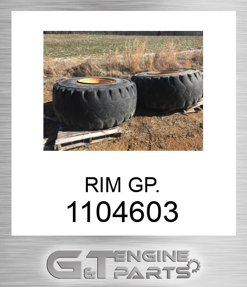 1104603 RIM GP.