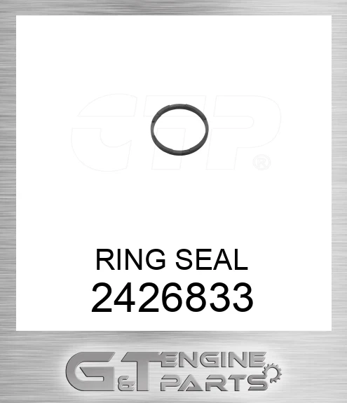 2426833 RING SEAL