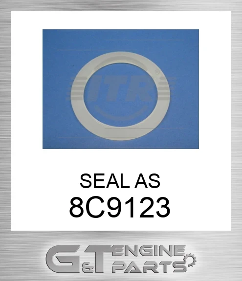 8C9123 SEAL AS