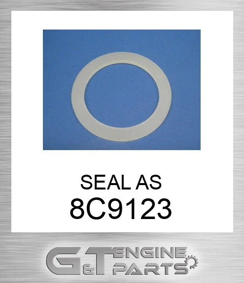 8C9123 SEAL AS