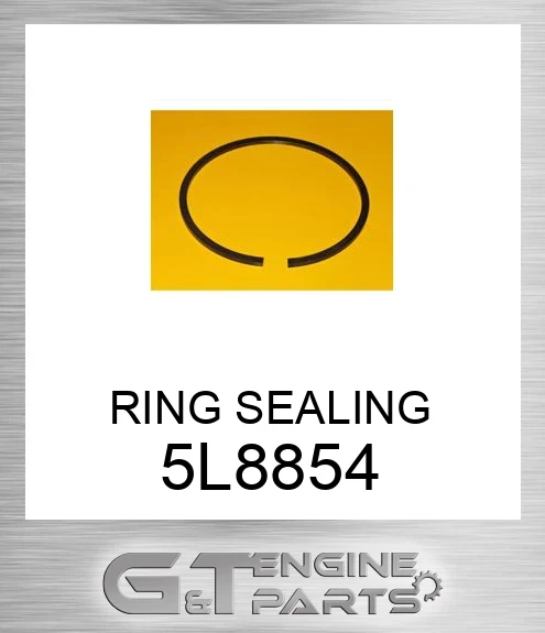 5L8854 RING SEALING