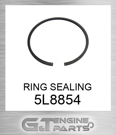 5L8854 RING SEALING