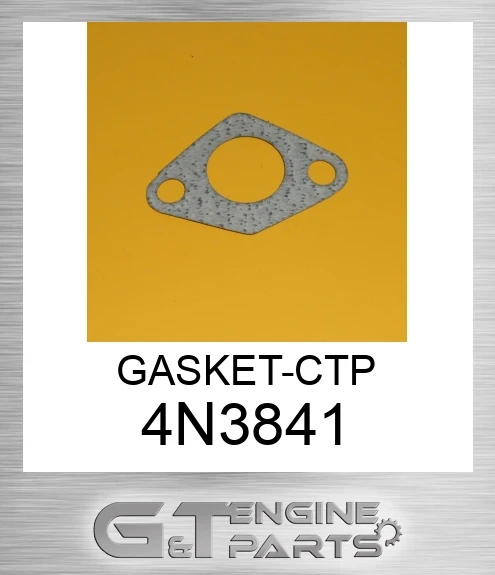 4N3841 GASKET-CTP
