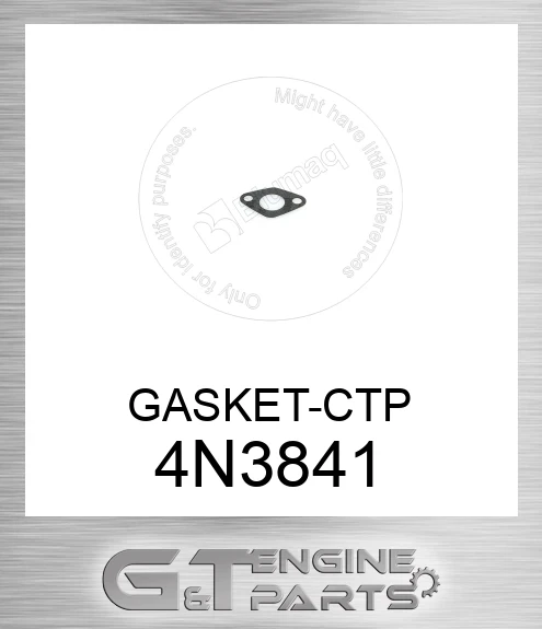 4N3841 GASKET-CTP