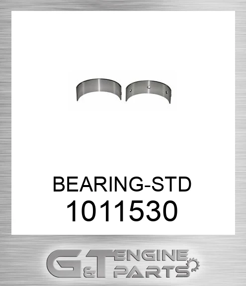 1011530 BEARING-STD