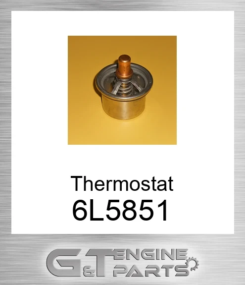 6L-5851 Thermostat