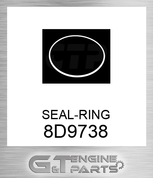 8D9738 SEAL-RING