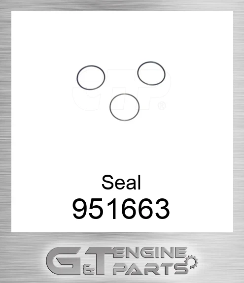 951663 Seal