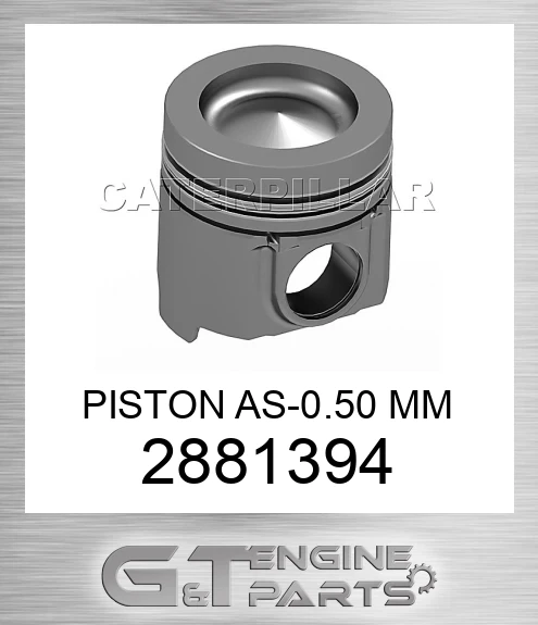 2881394 PISTON AS-0.50 MM