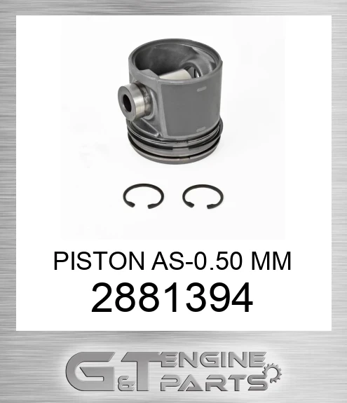 2881394 PISTON AS-0.50 MM