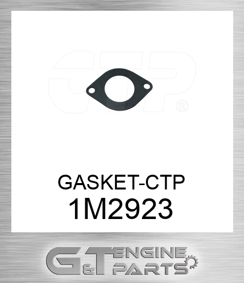 1M2923 GASKET-CTP