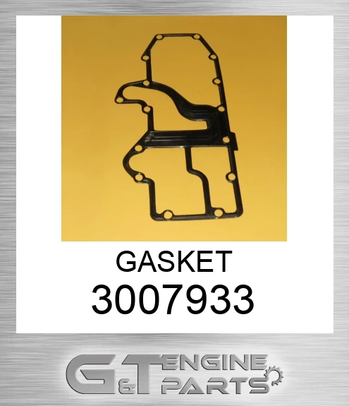 3007933 GASKET