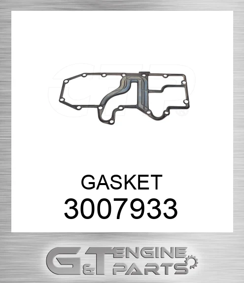 3007933 GASKET