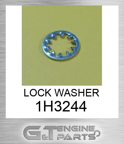 1H3244 LOCK WASHER