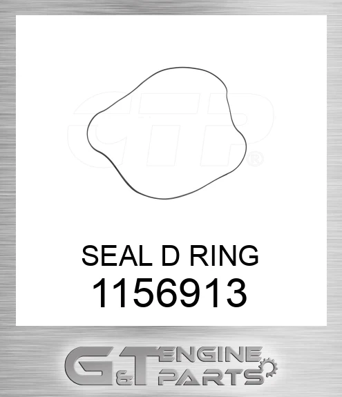 1156913 SEAL D RING