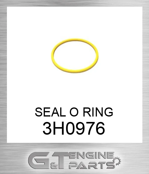 3H0976 SEAL O RING