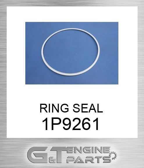 1P9261 RING SEAL