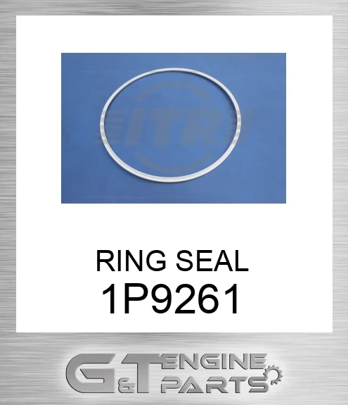 1P9261 RING SEAL