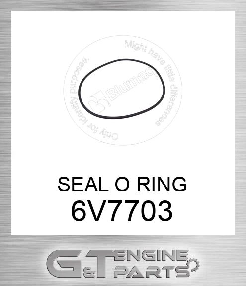 6V7703 SEAL O RING