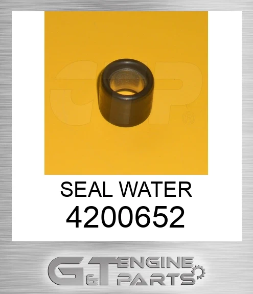 4200652 SEAL WATER