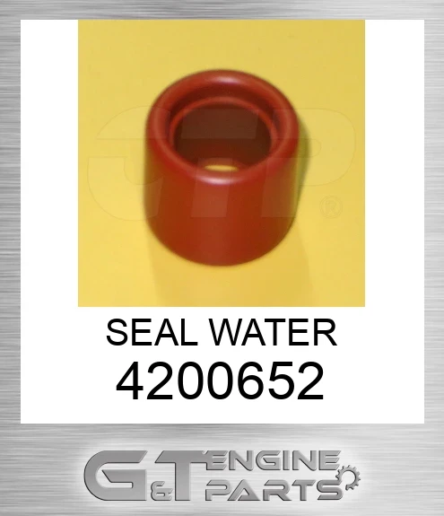 4200652 SEAL WATER