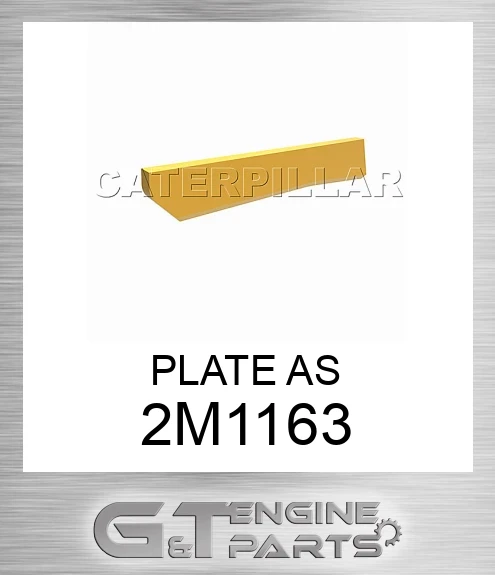 2M1163 PLATE AS