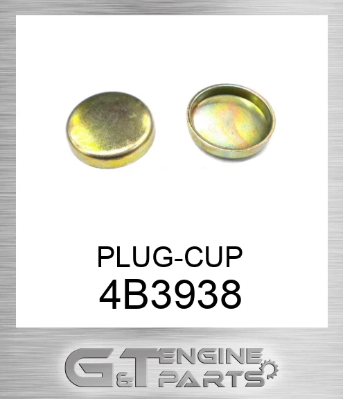 4B3938 PLUG-CUP
