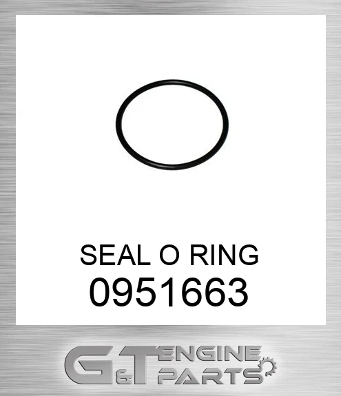 0951663 SEAL O RING