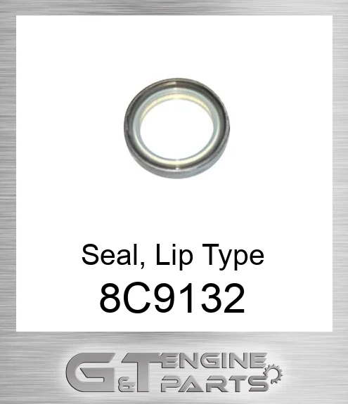 8C9132 Seal, Lip Type