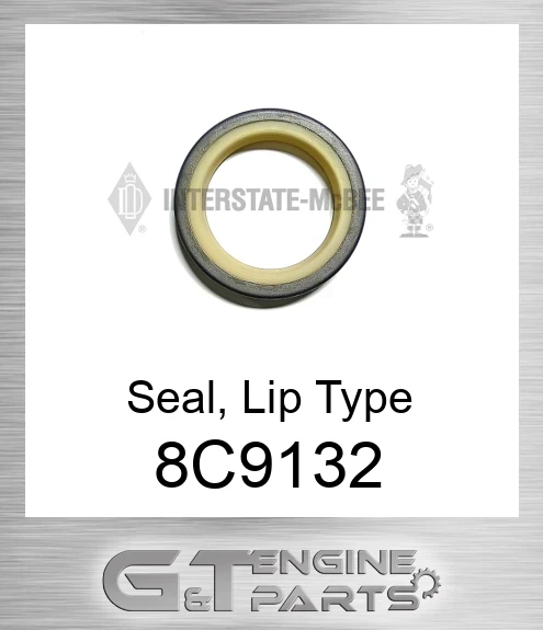 8C9132 Seal, Lip Type