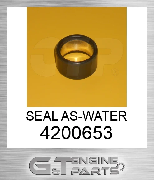 4200653 SEAL AS-WATER