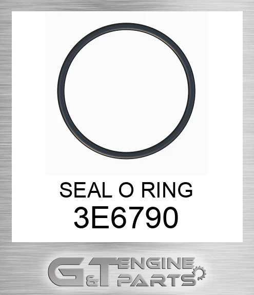 3E6790 SEAL O RING